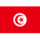 Bandera de Tunez